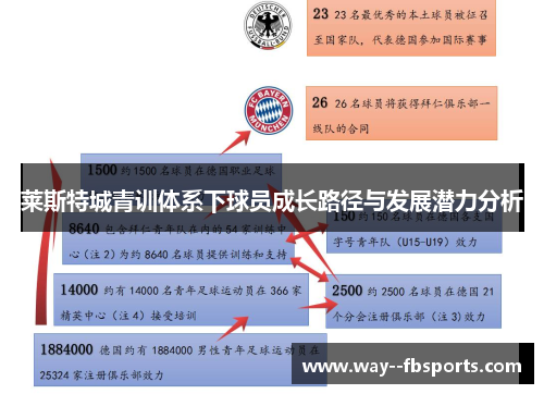莱斯特城青训体系下球员成长路径与发展潜力分析 莱斯特城青训体系下球员成长路径与发展潜力分析